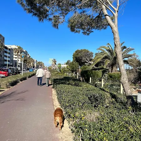 Cosy T2 Avec Vue Imprenable Sur La 아파트 카네트